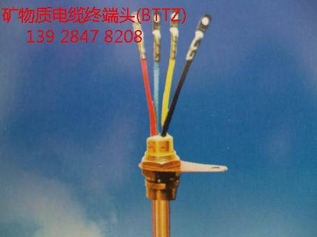矿物质电缆附件 矿物质绝缘电缆终端头(图1)